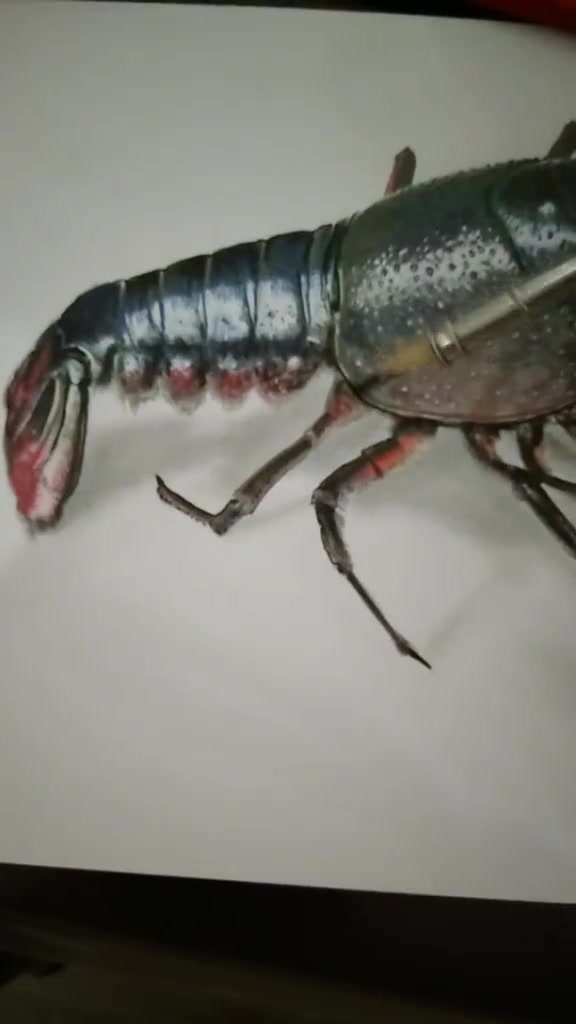 牛人手绘3D小龙虾,你们怕不怕