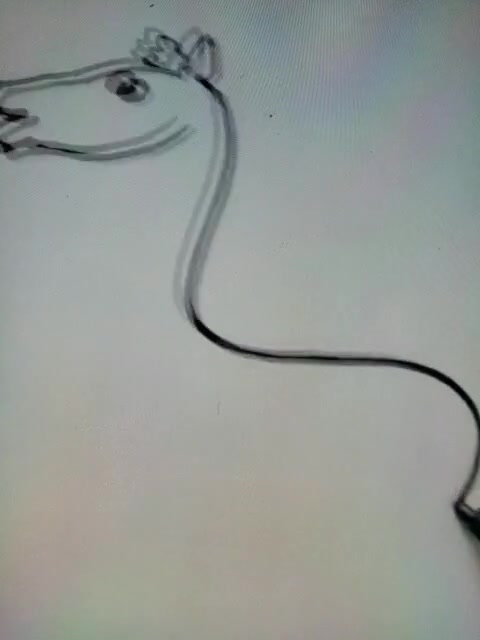 简笔画之画马,不会画马的看过来