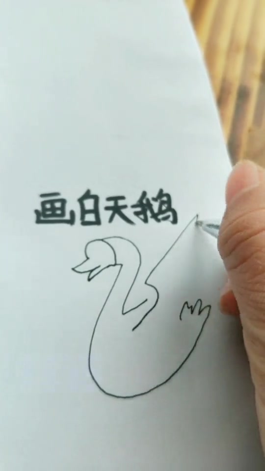 简笔画:白鹅的简单画法,看一遍就学会了