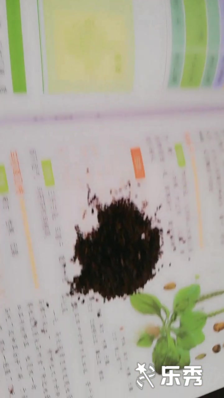 中药之上品,利尿除湿药,车前子