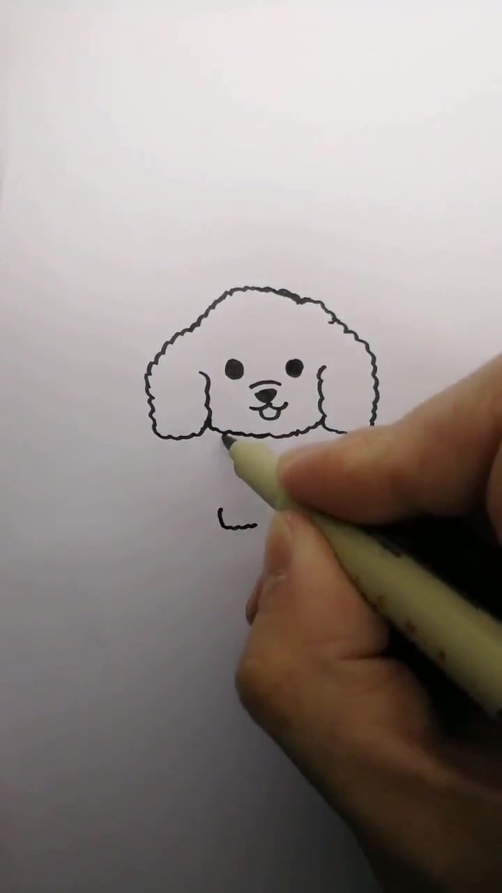画一只泰迪狗,这身体也有点方正吧,只能说长得太标准了吧?