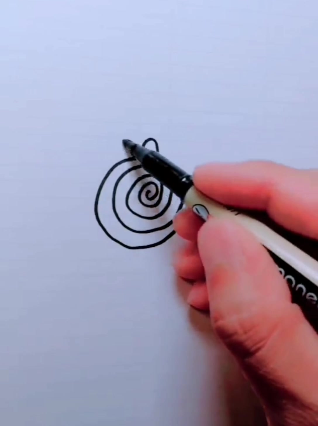我们一起学画画,简笔画向日葵和小花朵
