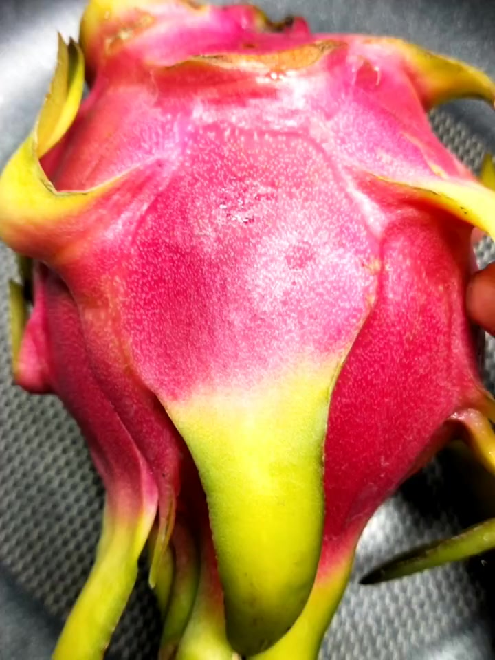 三伏天必备的一款糖水,火龙果西米露,做法都在这里!