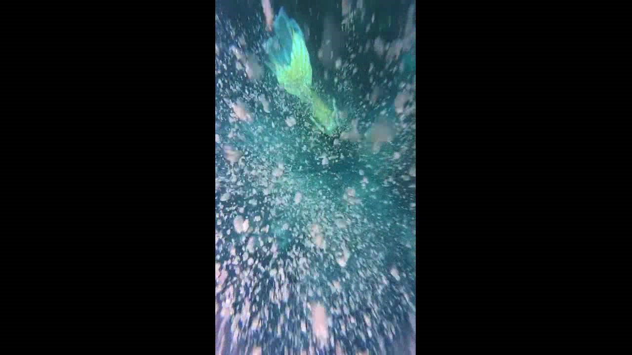 超美丽的“美人鱼”,潜水的样子美极了,看完瞬间爱上她!