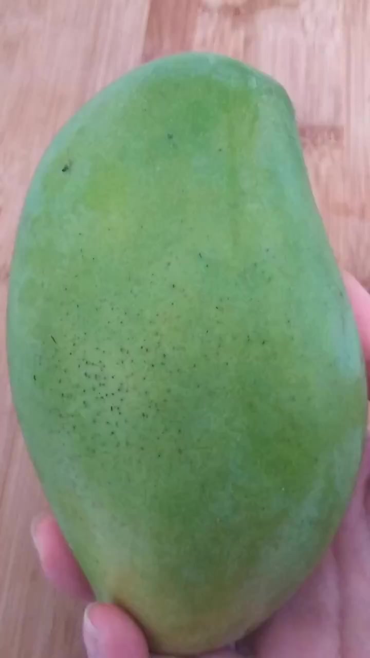 小王美食,芒果奶昔的做法,好喝好做又卫生