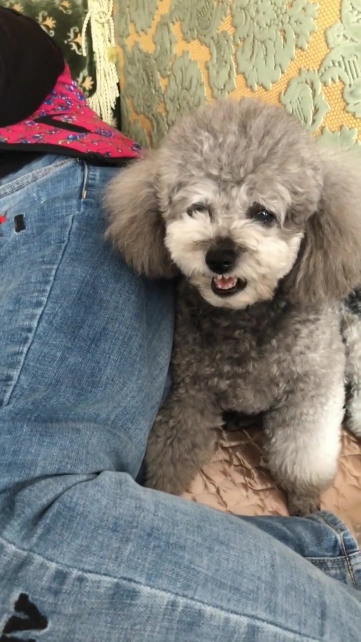 小白的面部表情这么丰富,看来是很生气了!