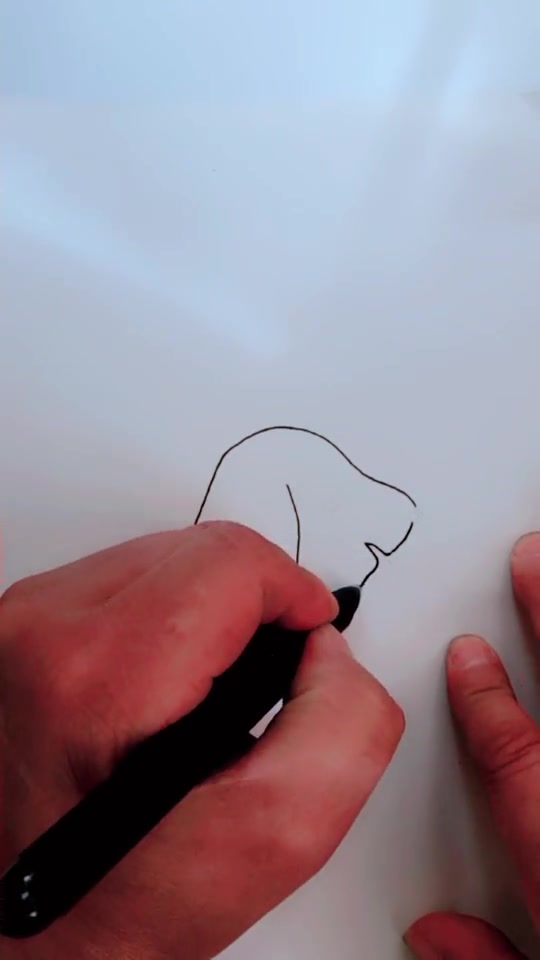 简笔画可爱的小狗