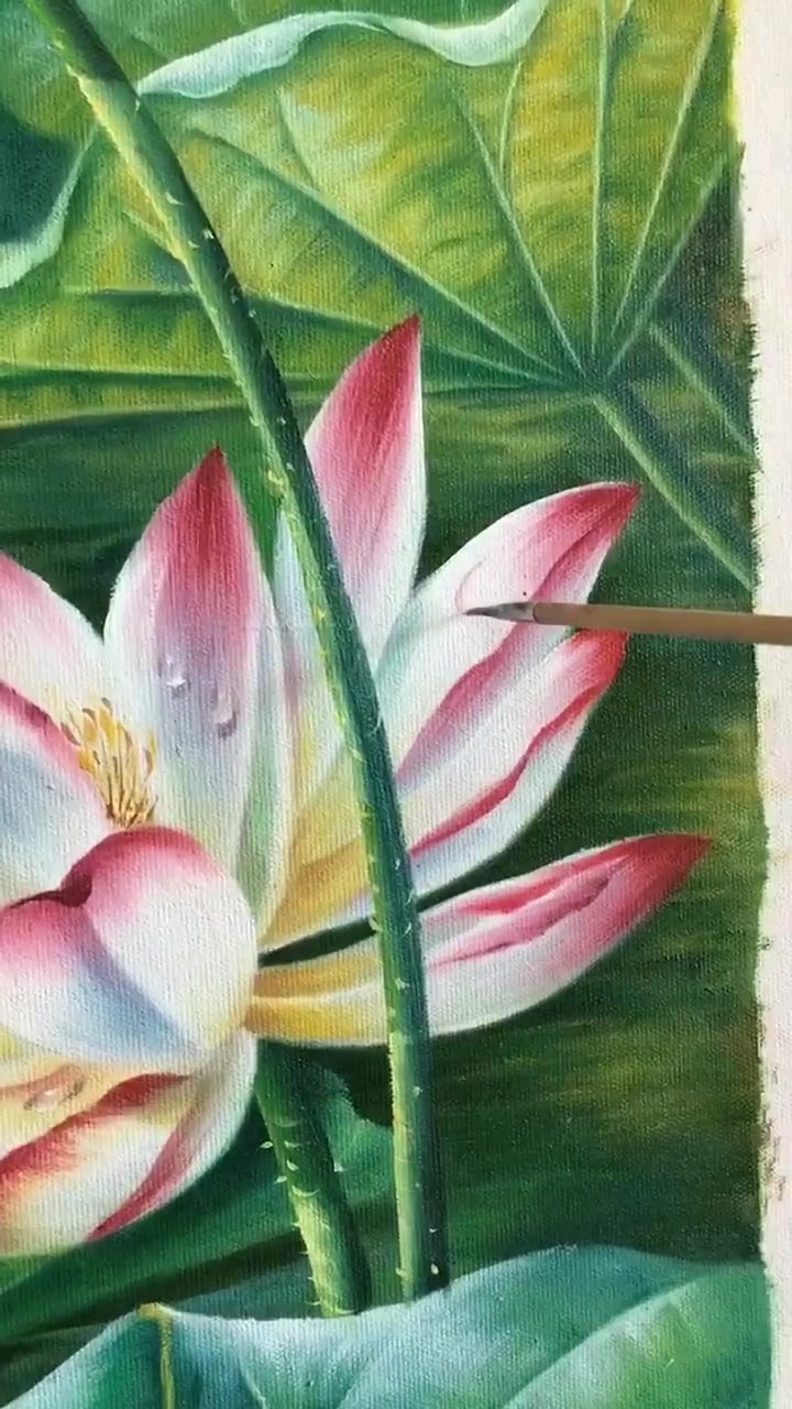 #素描画像了解一下#你可能见过夏日的荷花,但你一定没见过我画的荷花
