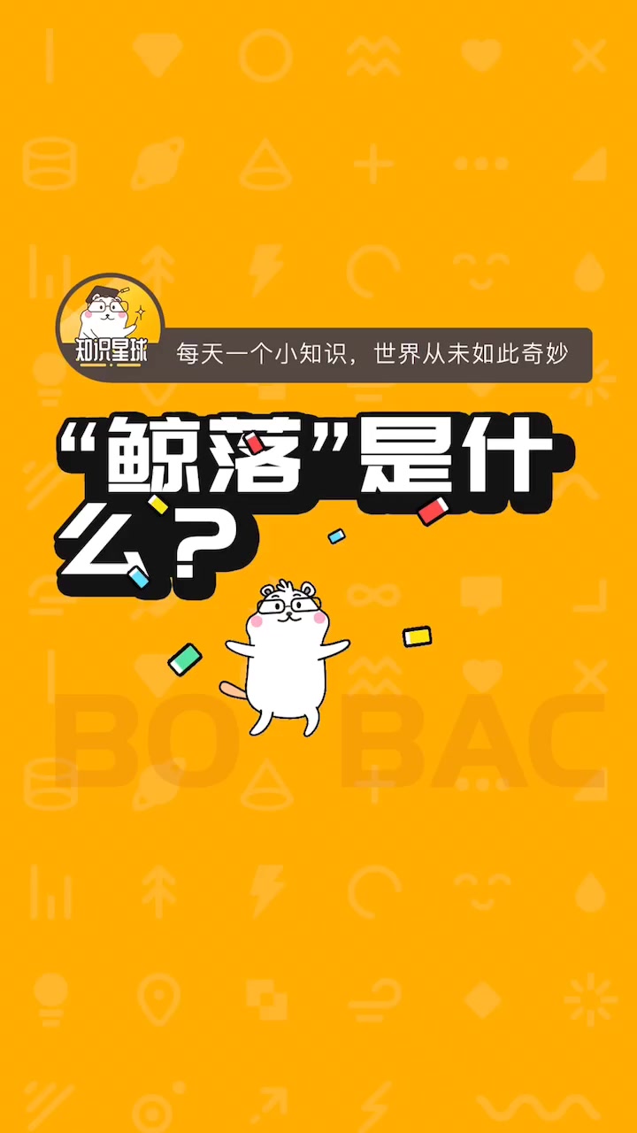 鲸落是什么?