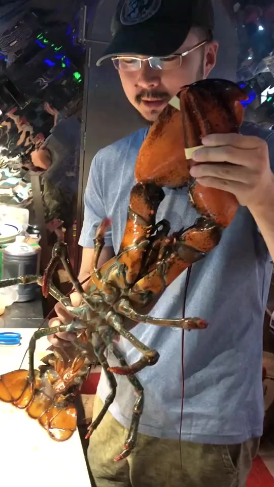 八斤多的波士顿龙虾怎么做呢
