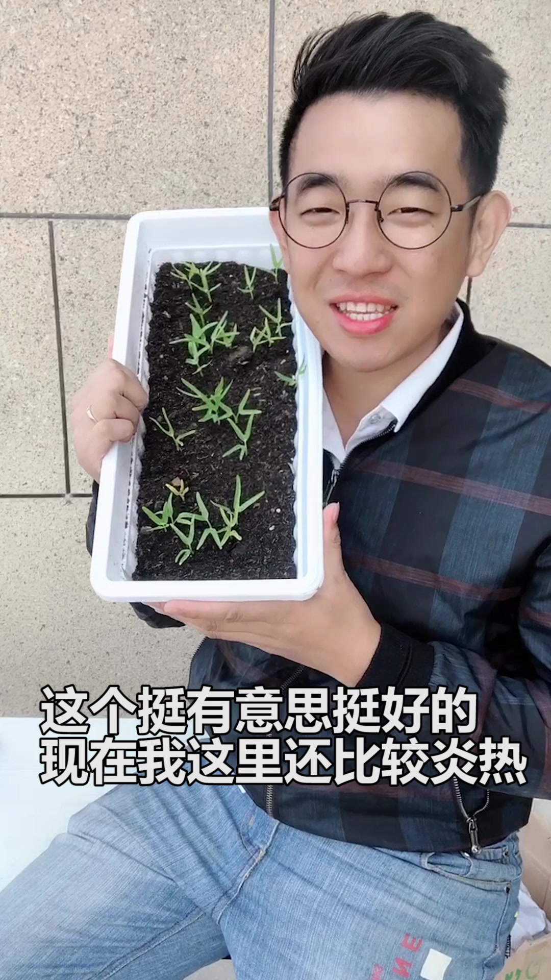 一木播种的空心菜发芽了,这可真有意思