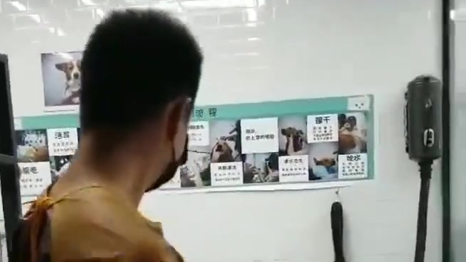 哈士奇,江湖人称二哈,据说,它的智商长期不在线。更多精彩内容,可以进我微博看!