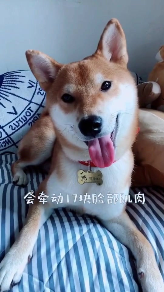 知道真相后的我眼泪掉下来