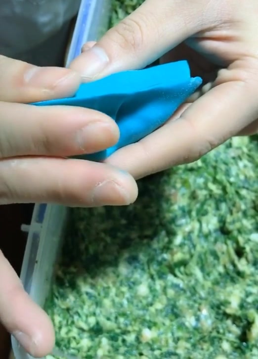 这才是饺子最简单的包法,三步就包好,个个不露馅,再也不用买了