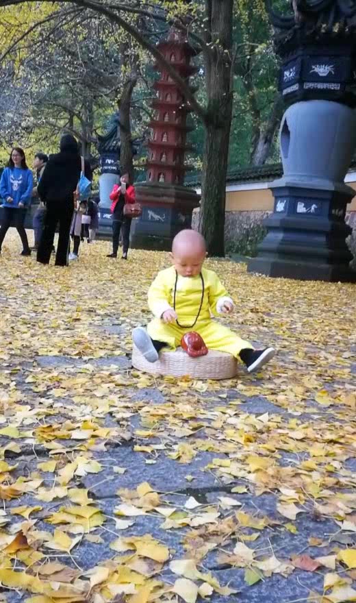 小和尚敲木鱼,萌萌的样子太可爱了,网友:佛祖都喜欢!