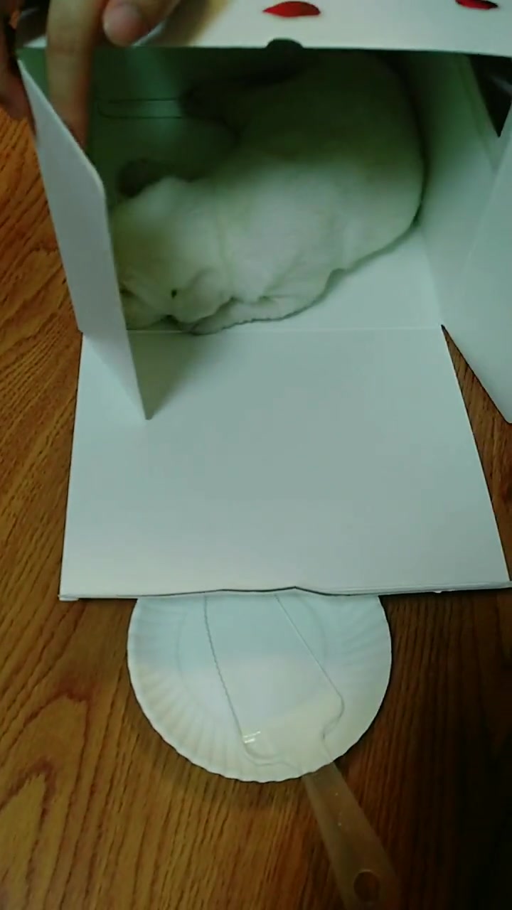新买的网红蛋糕,打开一看,太可爱了