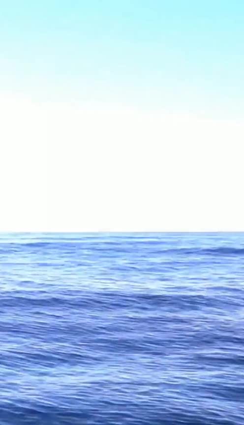 头一回见鲸鱼出水,别说,光听声音还有点小恐怖呢!