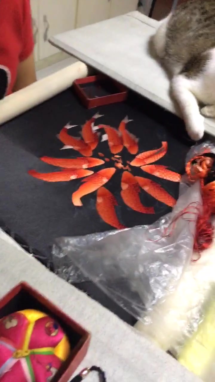 老婆十字绣绣了几条鱼,猫咪在旁边守着鱼怕鱼跑了?