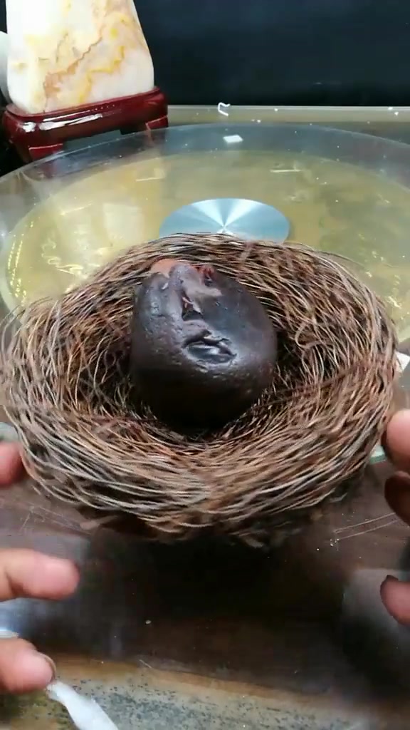 奇石,小鸡出壳,喜欢的老铁快来看看吧