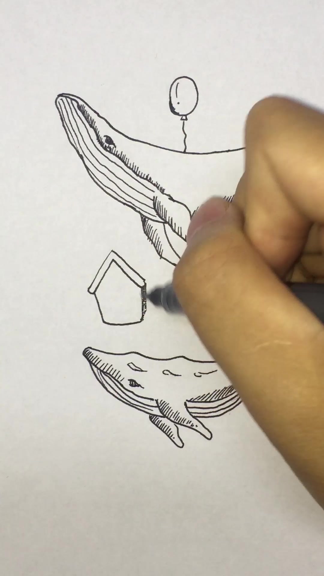 唯美鲸鱼简笔画,以蓝色色调为主,仿佛听见它们在歌唱