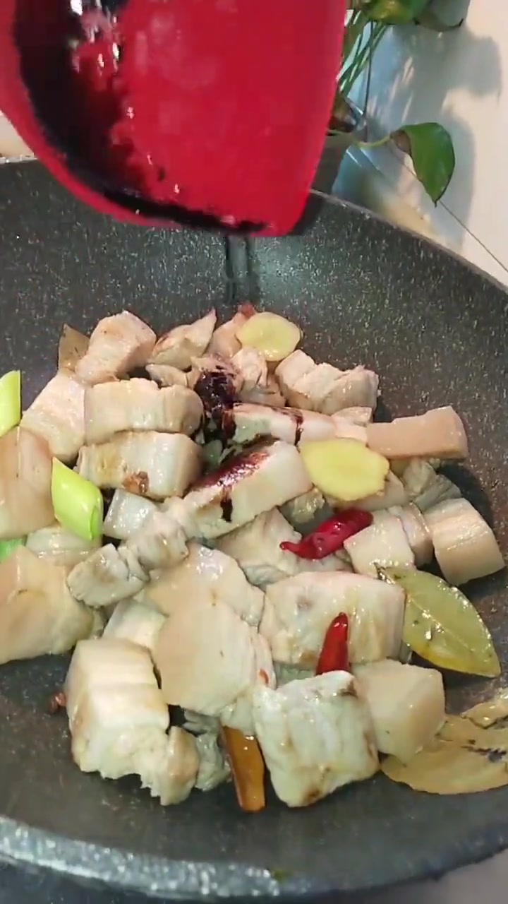 八爪鱼炖肉过年必吃的好菜!好吃美味无添加,你们学会了吗?