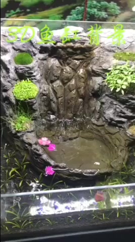 水族鱼缸3D背景新品上市