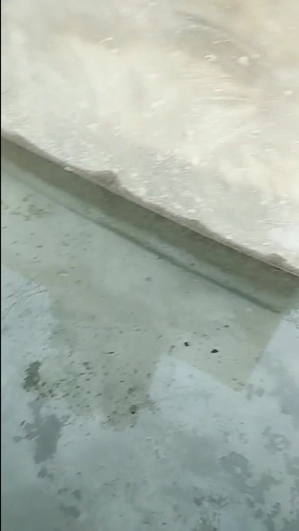 这就是传说中的鸭嘴兽吗,可达鸭是不是就以它为原型做的?