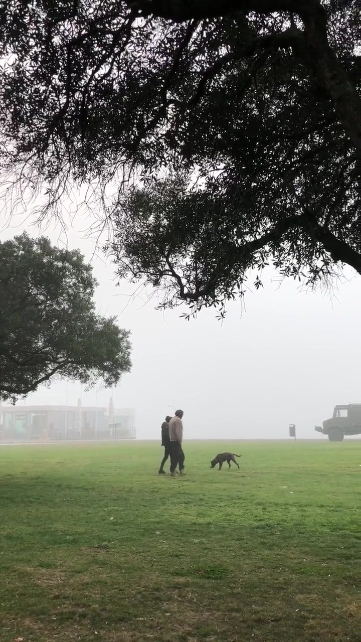 这才是令人羡慕的生活,两人一房一狗,三餐加四季