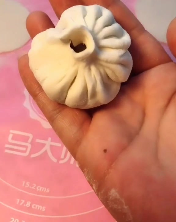 见识到了大厨的厉害,这灌汤包做的真是香