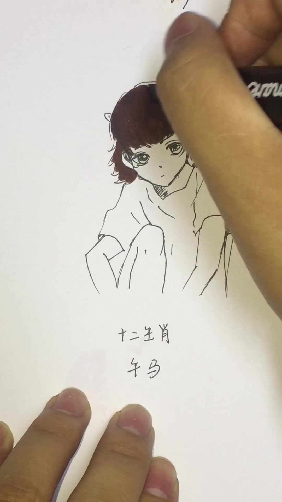 十二生肖午马简笔画,外表热情,内心却追求安逸