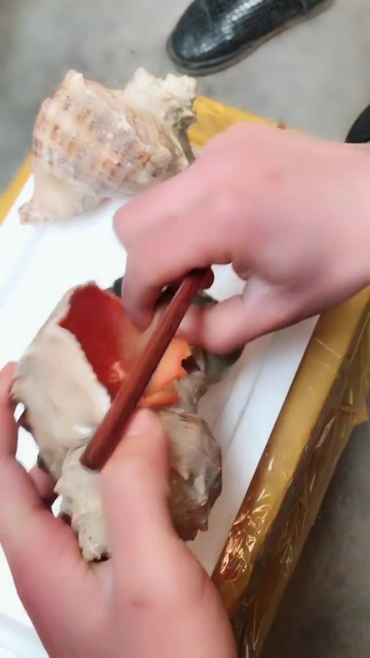 大海螺吃法,看完这么大的肉,我口水都快流出来了