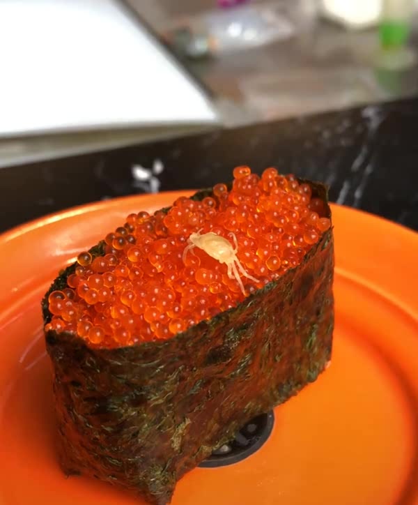 日本料理传说的蟹子寿司,配一个这么可爱的蟹宝宝,我都不忍心吃