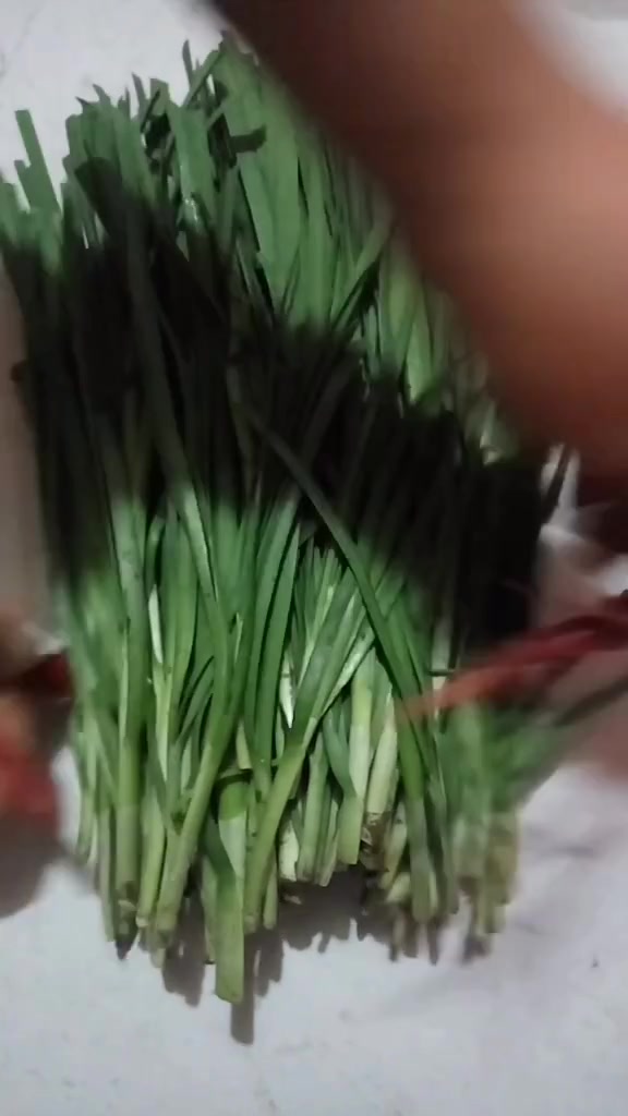 教你一个保存韭菜的方法,可以保存新鲜,而且半个月都不坏