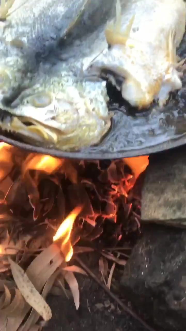 铁板黄花鱼,油一直滋滋的响,看着真是太有食欲了
