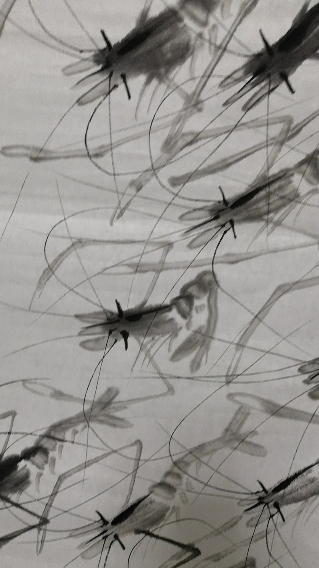 虾帝齐白石,虾王郑海荣之三