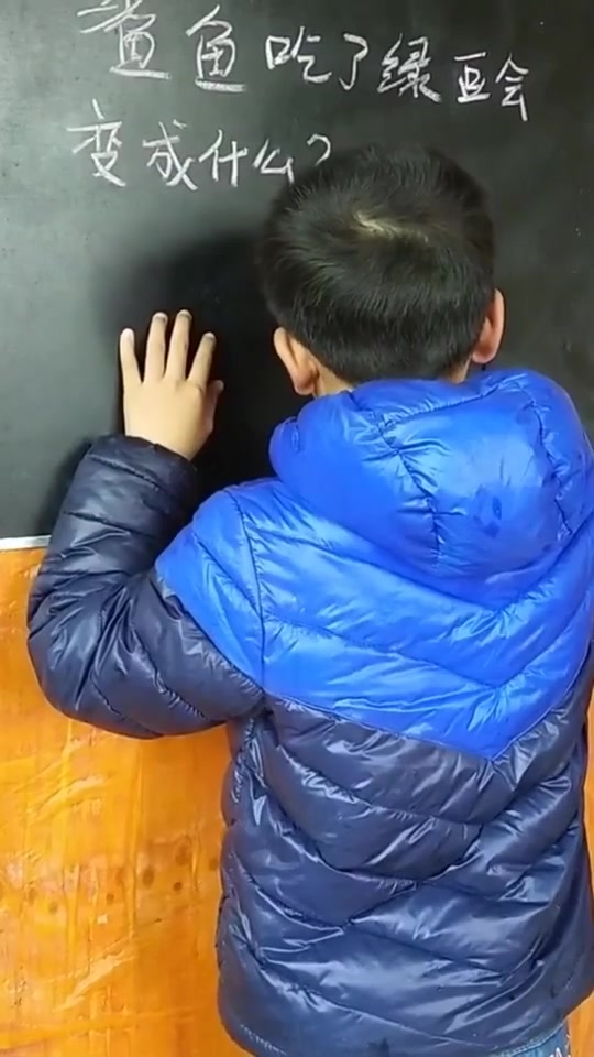 鲨鱼吃了绿豆会变成什么?看到答案我服了