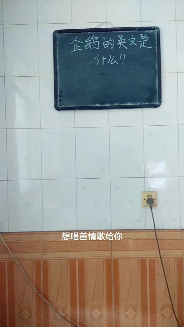 老师出题:企鹅的英文是什么?有没有想到会是这个答案