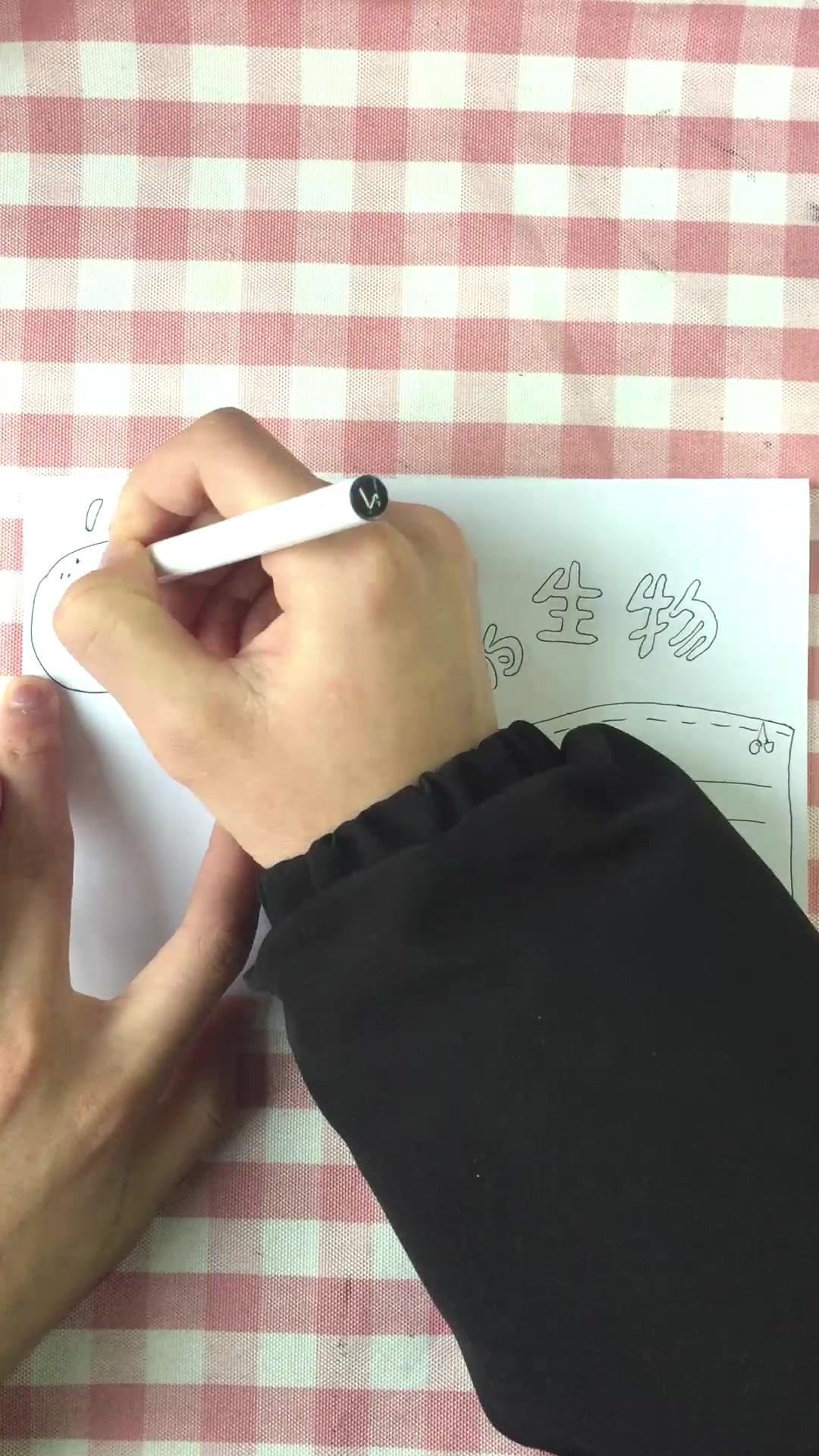 奇妙的生物手抄报,世界上还有很多未被发现的生物,等你去探索呢