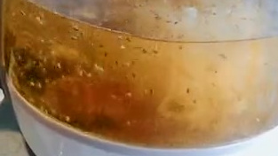 【银耳百合桂圆汤】 ???? 无二氧化硫熏蒸的银耳: 补脾开胃,益气清肠、滋阴润肺。既能增强人体