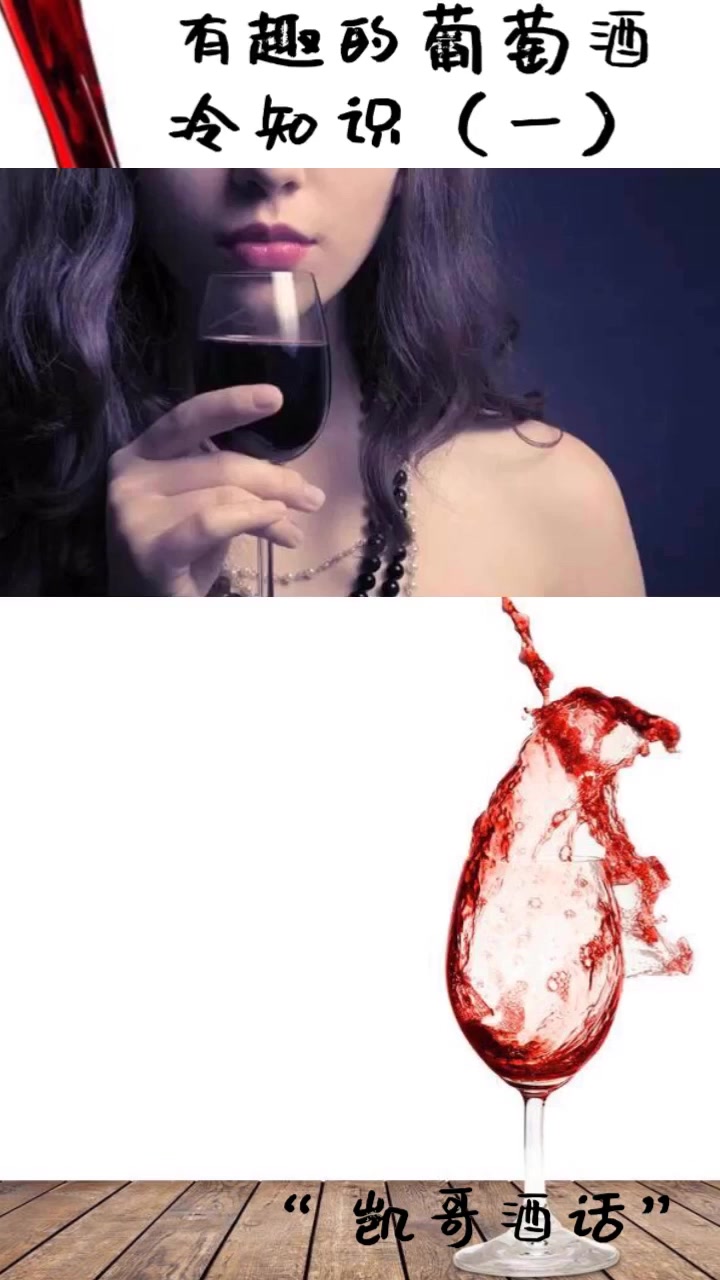 有趣的葡萄酒冷知识~第1集