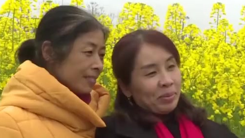 【花4天时间!男子油菜花地种出爱你一万年,想送给家里人】3月6日,江西赣州,一块油菜地里现