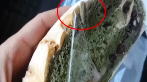 长春米旗面包被电视台曝光。