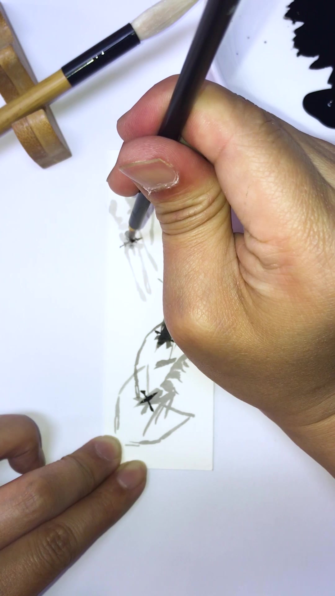快快学画画:虾的国画画法教程