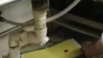 【外婆家再曝卫生乱象:上海“外婆家”一门店内老鼠爬上后厨案板】在今年的315晚会播出之前,