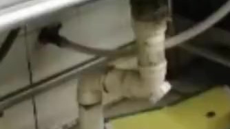 【外婆家再曝卫生乱象:上海“外婆家”一门店内老鼠爬上后厨案板】在今年的315晚会播出之前,