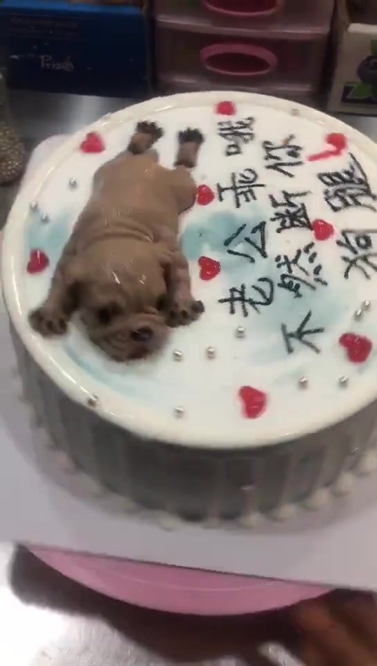 老公生日蛋糕来一下不