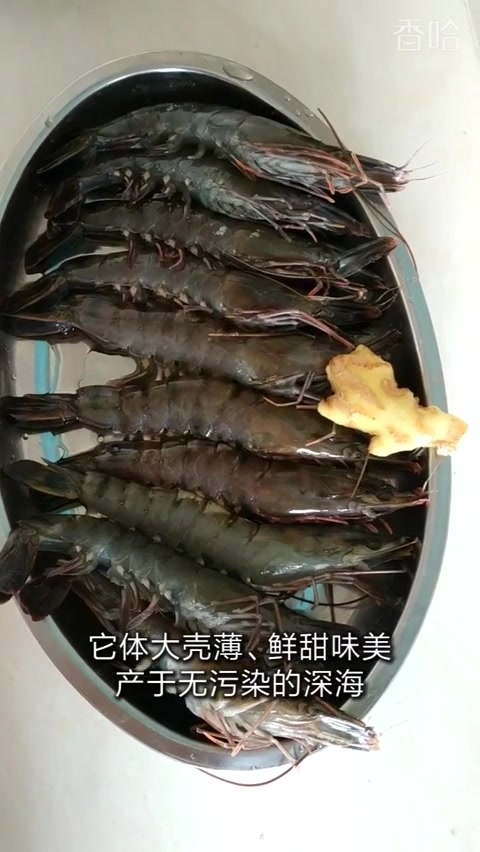 黑虎虾～最原汁原味的做法～白灼