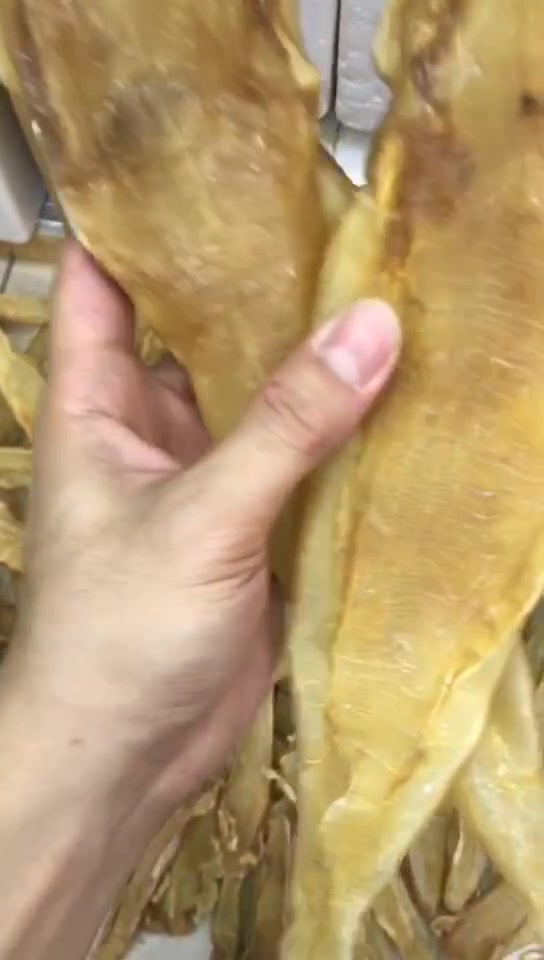 北海鱼胶哪种好?花胶公子从北海公肚说北海类鱼胶的品质排名