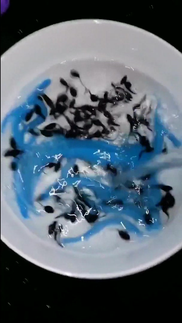 赶海抓了几条会变色的鱼,变色的是母的,不变色的是公的!