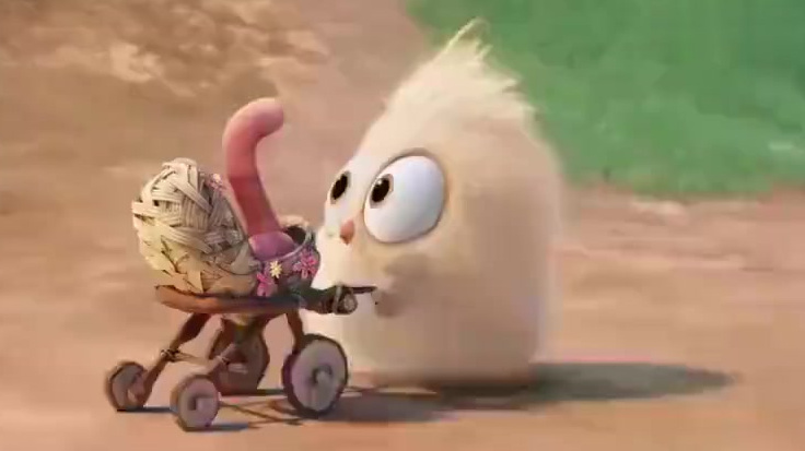 一个治愈系视频:小鸡与蚯蚓的友情,简直萌化了! 